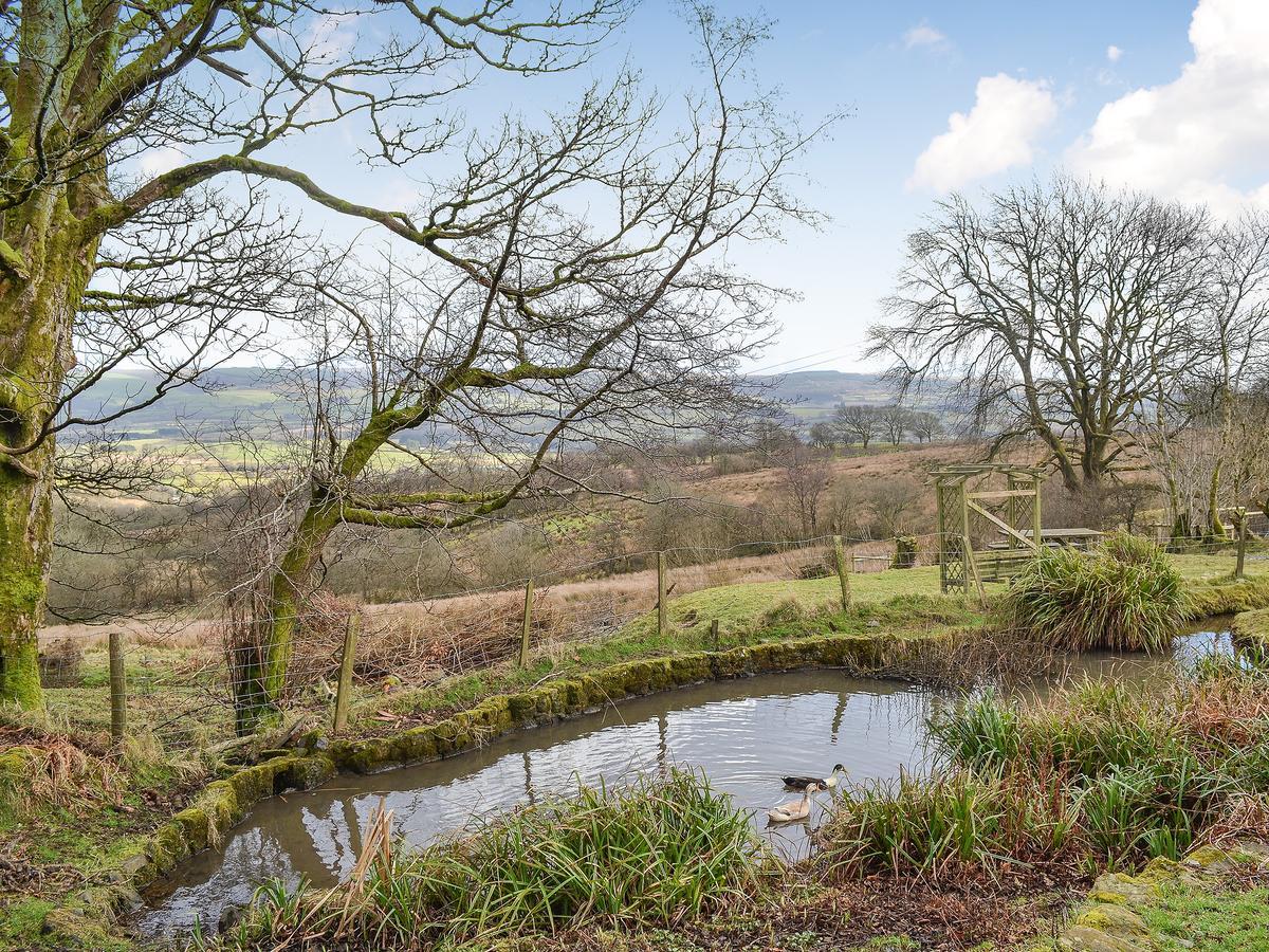 Swallow Barn Llanwrtyd Wells Exteriér fotografie
